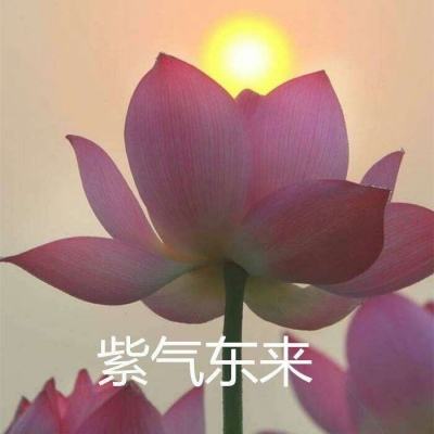 法师传奇II